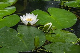 Bilder2016-18 Geöffnet und noch geschlossen