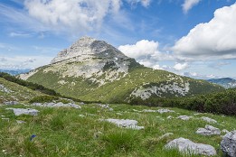 Oesterreich-33 Guffert