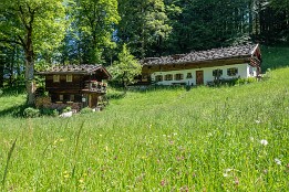 Alpen_Juni_2020-7 Alm am Hinteren Brandkopf