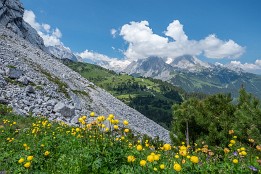 Alpen_Juni_2020-104 Blick vom Schachentor zum Schachen