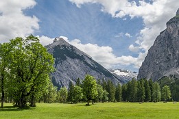 Mittenwald-14 Ahornbäume und Almwiese im oberen Isartal
