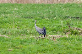 Lenzen-20 Mutter und Kind