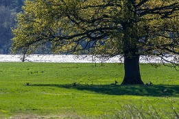 Lenzen-3 Mittagspause bei Mödlich
