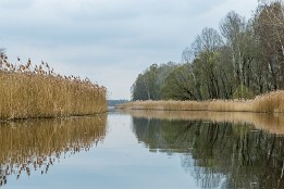 Ruppiner_Seen-14 Auf dem Weg nach Kremmen ist der Schilfgürtel immer wieder schön anzusehen.