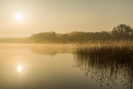 Ruppiner_Seen-2 Morgenstimmung über dem Ruppiner See bei Wustrau