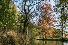 Bild_2014-55 Am Großen Fließ