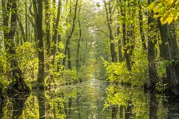 Bild_2015-76 Seitenlicht