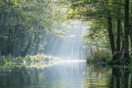 Bild_2015-79 Eschenfließ