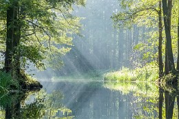 Bild_2015-80 Eschenfließ, Einmündung zur Hauptspree