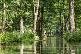 Bilder2017-125 Tschapek