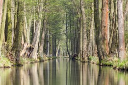 Bilder2017-56 Stille