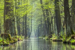 Bilder2017-62 Sichtachse