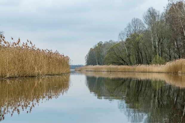 Ruppiner Seen Eine Paddel- und Fahrrad-Woche