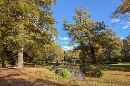 Herbst_2025-7 Im Park