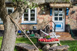 Bild_2012-28 Seedorf - Herbstfrüchte