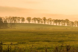 Bild_2015-83 Nachmittagsstimmung bei Neuensien im November