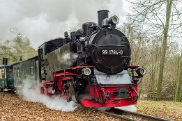 Bilder2017-179 Der Rasende Roland an der Station Jagdschloss Granitz.