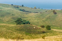 Bild_2013-43 Zickersche Berge - sanfte Hügel