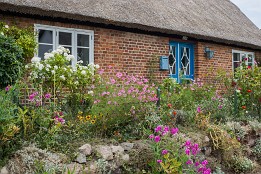 Website-156 Bauerngarten