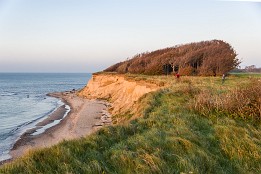 Bild_2011-44 Windflüchterwald (Buchen) bei Kreptitz.