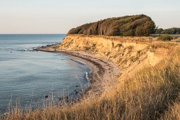 Website-132 Windflüchter bei Kreptitz