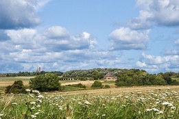 Website-161 Kapelle Vitt