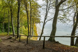 Bild_2009-56 Im Jahr 2009 sah es am Wissower Klinken noch so aus. Der Weg ist inzwischen weiter in den Wald verlegt bzw. die Küste weiter abgebrochen.