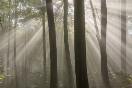 Bild_2012-37 Sonne und Schatten