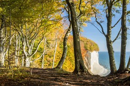 Bild_2013-48 Blick aus dem Uferwald auf den Wissower Klinken