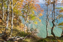 Bild_2013-50 Laubfärbung