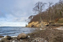 Ruegen_Dez-4 Steilufer bei Lietow im Dezember.