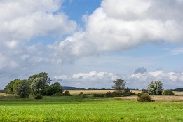 Bilder2017-141 Halbinsel Liddow