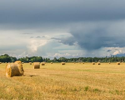 Bild_2013-16 Es war Erntezeit. Hier ein Feld am Rand des Müritz-Nationalparks bei Boek und natürlich ein Gewitter am Horizont.
