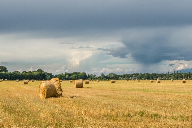 2013 Dresden - Rügen