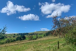 Blick zur Wasserkuppe
