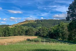 Blick zurück zur Wasserkuppe