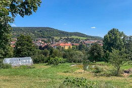 Blick auf Tann mit dem Gelben Schloss