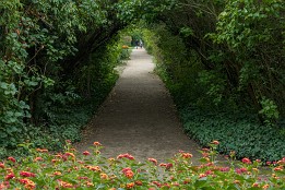 Dessau_Woerlitz_2018-5