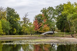Dessau_Woerlitz_2018-8 Es gibt verschiedenste Brücken im Park.