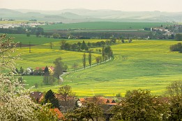 Bild_2010-23 Hermsdorf am Wilisch - Frühling