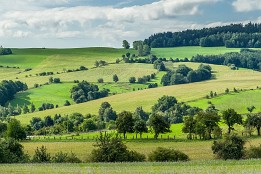 Bild_2015-42 Bei Quohren (Kreischa).