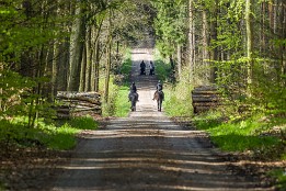 Bilder2016-9 Dresdner Heide, Nachtflügel, Ende April