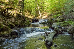 Website-96 Prießnitz