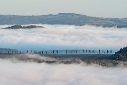 saechsischeSchweiz_Sep28-8 Allee unterhalb Lilienstein