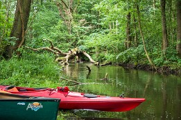 Bild_2009-29 Nach dem Umtragen um dieses Baumhindernis bei Kladow.