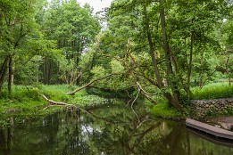 Bild_2009-30 Die Warnow bei Karnin. Hier gab es mal eine alte Mühle und damit ein Wehr. Man muss also umtragen. Landschaftlich ist das Stück sehr reizvoll.