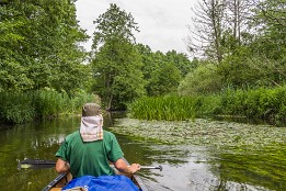 Bild_2009-34 Die Warnow wird vor Bützow träger und breiter.