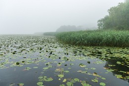 Bild_2009-39 Der Morgen am Bützower See überraschte mit Nebel.