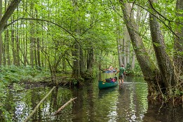 Bild_2010-26 Treideln hinter Krüseliner Mühle, der Sommer war sehr warm und damit der Wasserstand niedrig.
