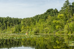 Bild_2012-6 Wasserwelt